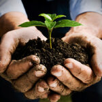 hero-grow-your-business